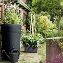 Elho Green Basics Regenton -Seren Tuin Verkoopwinkel elho green basics regenton 1000x667 625fdb2cef1f3 l