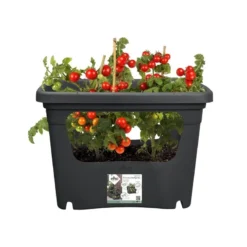 Elho Plantenbak Green Basics Stack & Grow Large Zwart -Seren Tuin Verkoopwinkel elho plantenbak green basics stack grow large zwart 800x800 620e3d4eed857 l