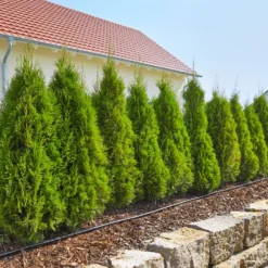 GARDENA Startset Micro-Drip-System 25m -Seren Tuin Verkoopwinkel gardena micro drip system startset m 25m 1500x1000 640af4f15262b l