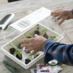 Nature Deksel Voor Kweekbak 55x31cm 6 Nature Deksel Voor Kweekbak 55x31cm -Seren Tuin Verkoopwinkel nature deksel voor kweekbak 55x31cm 595x800 6214a0230c942 l