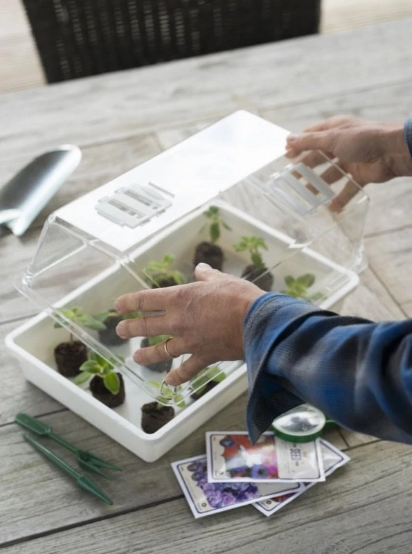 Nature Deksel Voor Kweekbak 55x31cm 3 Nature Deksel Voor Kweekbak 55x31cm - Image 3