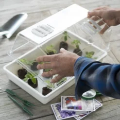 Nature Deksel Voor Kweekbak 55x31cm 7 Nature Deksel Voor Kweekbak 55x31cm -Seren Tuin Verkoopwinkel nature deksel voor kweekbak 55x31cm 800x587 6214a0233f631 l