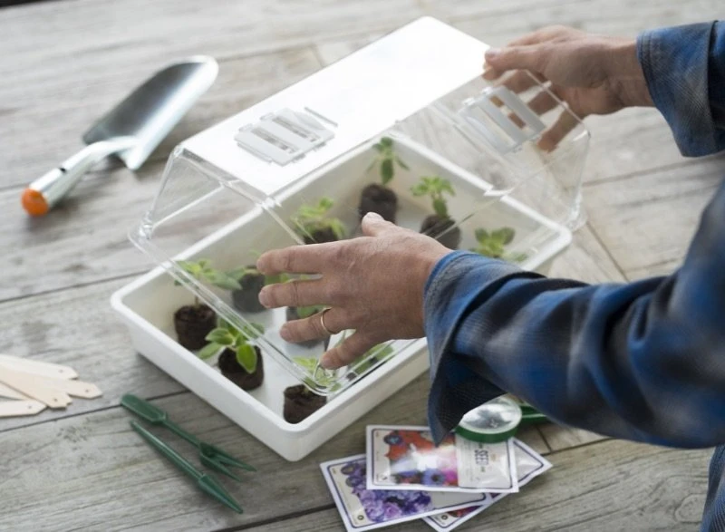 Nature Deksel Voor Kweekbak 55x31cm 4 Nature Deksel Voor Kweekbak 55x31cm - Image 4