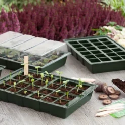 Nature Kweekbakset 35x23,5cm 4 St 5 Nature Kweekbakset 35x23,5cm 4 St -Seren Tuin Verkoopwinkel nature kweekbakset 35x23 5cm 4 st 800x532 6214a027c962f l