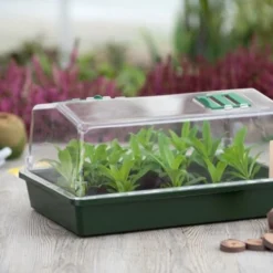 Nature Kweekkas Groen 55x31cm -Seren Tuin Verkoopwinkel nature kweekkas groen 55x31cm 800x532 6214a0257444b l