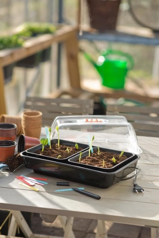 Nature Kweekkas Verwarmd 38x24cm 4 Nature Kweekkas Verwarmd 38x24cm - Image 4