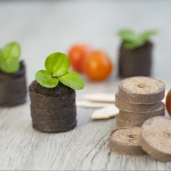 Nature Turftabletten 48st 6 Nature Turftabletten 48st -Seren Tuin Verkoopwinkel nature turftabletten 48st 800x532 6214a01453d91 l