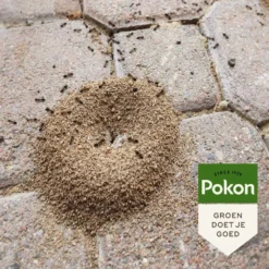 Pokon Tegen Mieren Korrels 400gr 9 Pokon Tegen Mieren Korrels 400gr -Seren Tuin Verkoopwinkel pokon tegen mieren korrels 400gr 1000x1000 6221fb52c5ede l